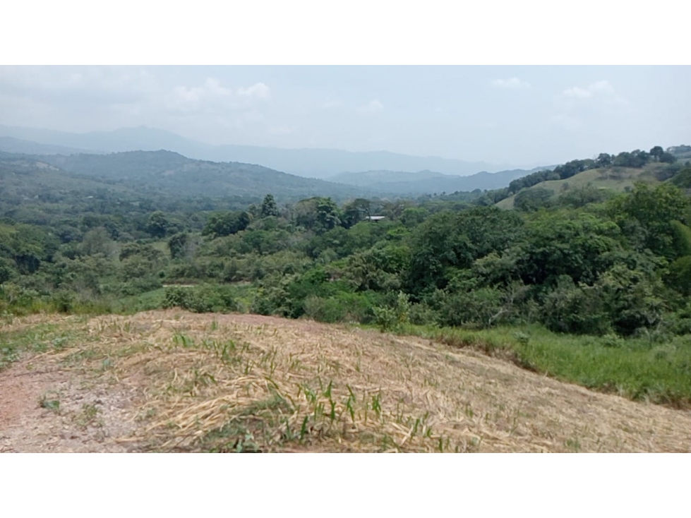 LOTES EN VENTA SAN ANTONIO DE APULO - CONJUNTO - OPORTUNIDAD - 3