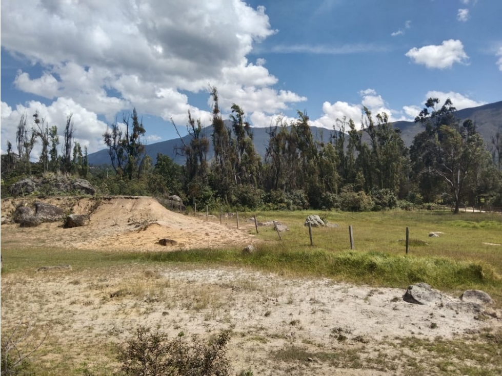 VENDO LOTE DE 11.000 METROS PLANOS - VEREDA EL ROBLE - VILLA DE LEYVA - 4