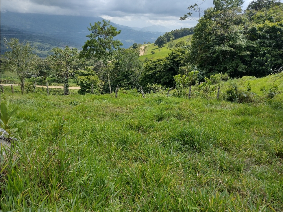 VENDO FINCA GANADERA DE 88 HECTAREAS EN MELGAR - TOLIMA - GANGA - 5