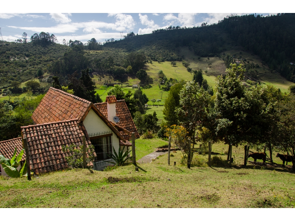 VENDO HACIENDA EN MADRID - CUNDINAMARCA - OPORTUNIDAD - 5