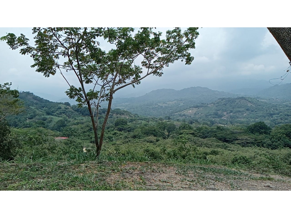 LOTES EN VENTA SAN ANTONIO DE APULO - CONJUNTO - OPORTUNIDAD - 5