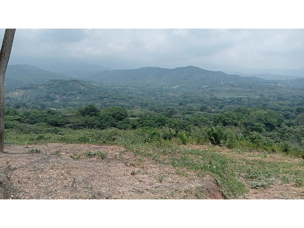 LOTES EN VENTA SAN ANTONIO DE APULO - CONJUNTO - OPORTUNIDAD - 6