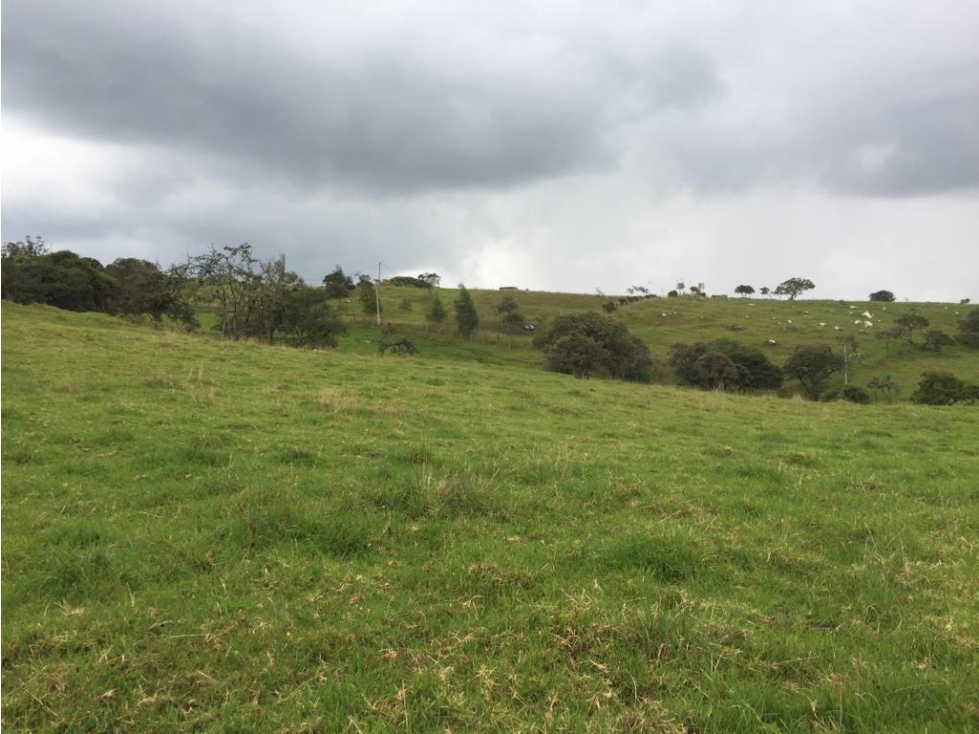VENDO LOTE VEREDA SAN JOSE - LA CALERA - URGEME - 3
