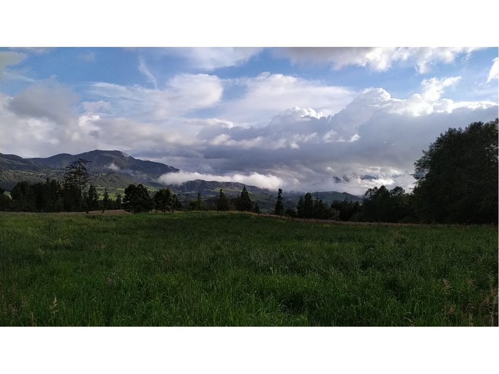 VENDO LOTE DE 19.200 METROS VEREDA SANTA HELENA EN LA CALERA - 6