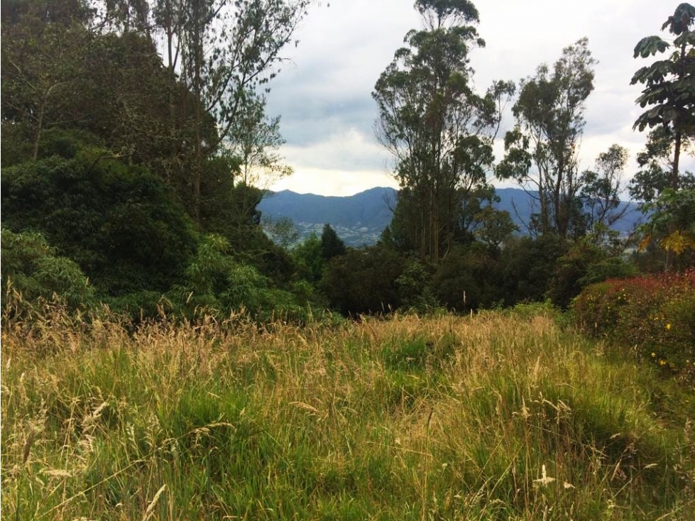 VENDO LOTE ALTOS DE POTOSI - GUASCA - OPORTUNIDAD - 1