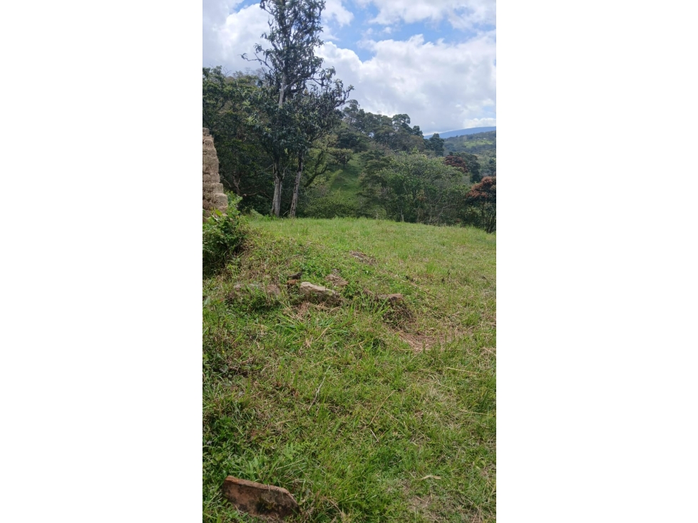 VENDE HERMOSO LOTE CAMPESTRE RURAL - MONIQUIRA - 2