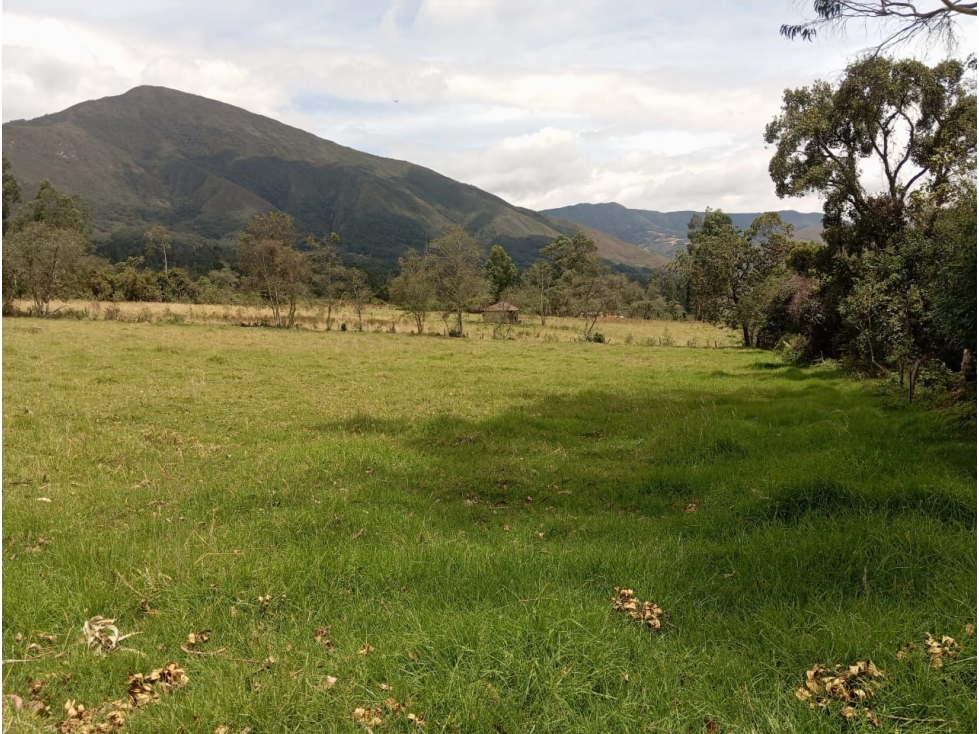 VENDO LOTE PLANO VEREDA CARDONAL - VILLA DE LEYVA - OPORTUNIDAD - 2