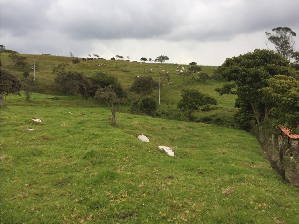 VENDO LOTE VEREDA SAN JOSE - LA CALERA - URGEME - 2