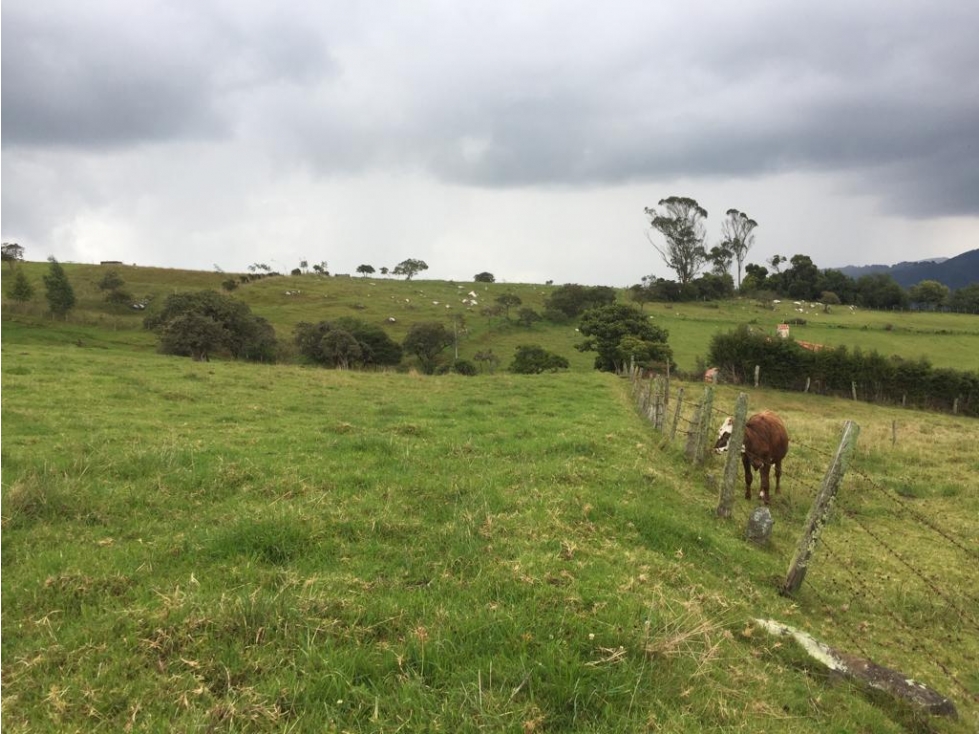 VENDO LOTE VEREDA SAN JOSE - LA CALERA - URGEME - 4