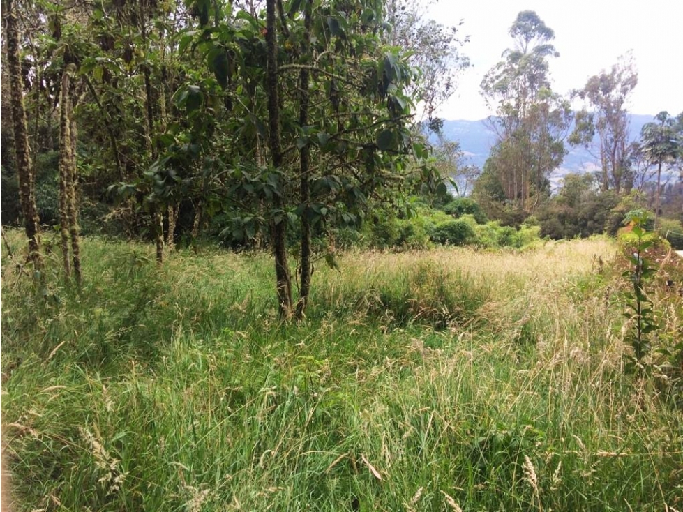 VENDO LOTE ALTOS DE POTOSI - GUASCA - OPORTUNIDAD - 2