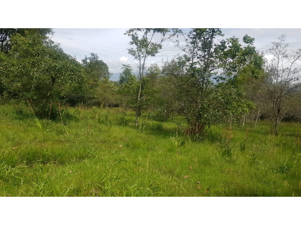 VENDO LOTE PLANO - ALTO DEL ESPINO - VILLA DE LEYVA - 3