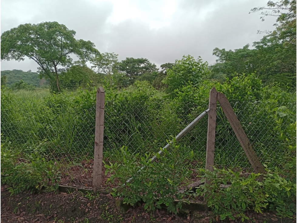 VENDO LOTE PLANO DE 4.000 METROS EN CONJUNTO SAN ANTONIO DE APULO - 5