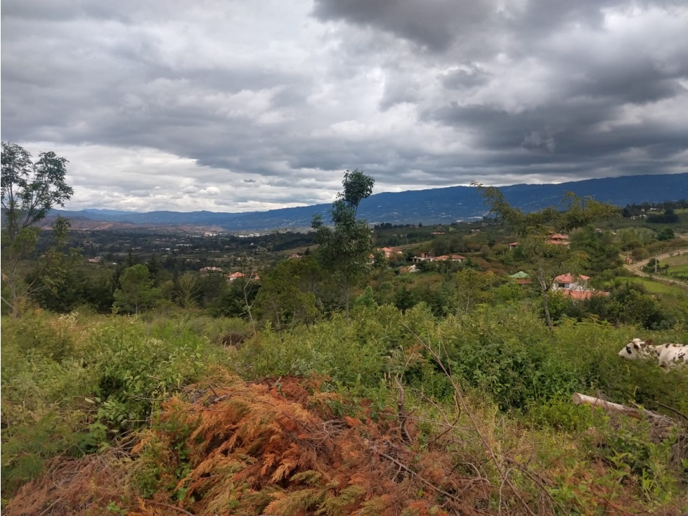 VENTA DE LOTES CONJUNTO CAMPESTRE - VEREDA EL ROBLE - VILLA DE LEYVA - 1