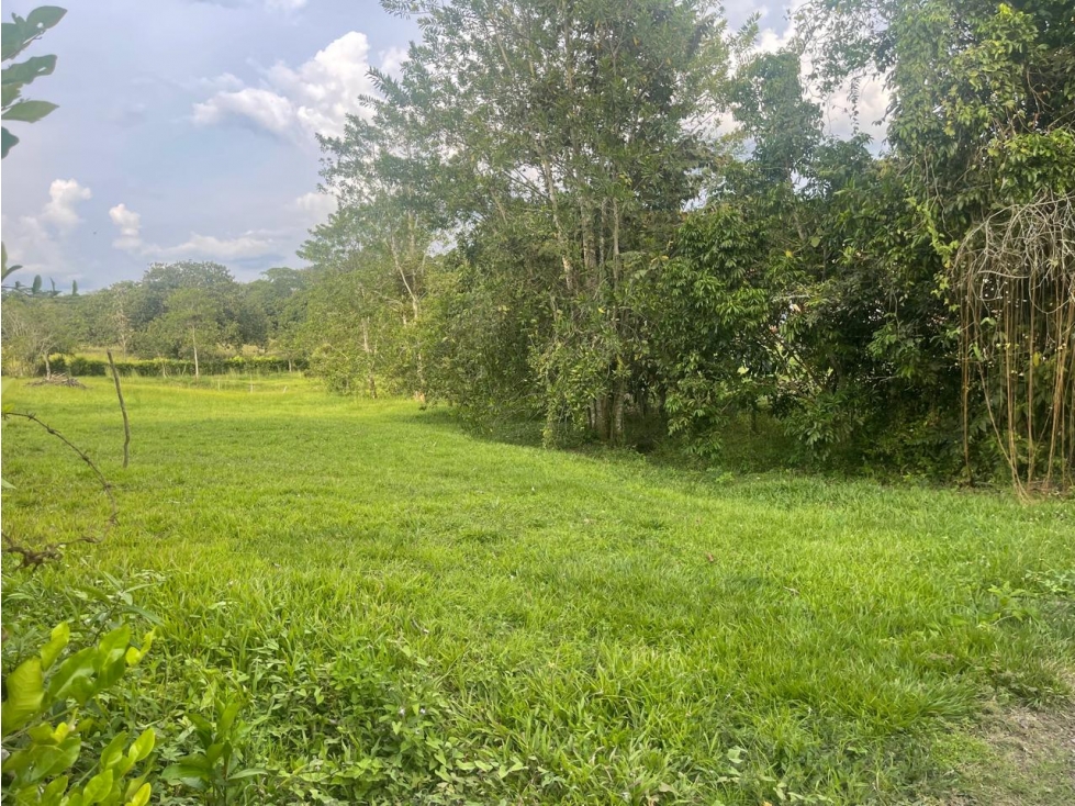 VENDO LOTE # 21 PLANO DENTRO DE CONJUNTO - VITERBO - CALDAS - URGEME - 4