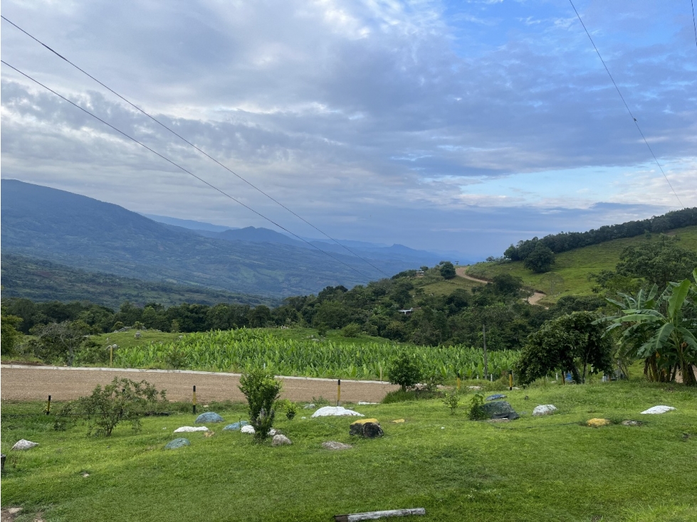 VENDO FINCA GANADERA DE 88 HECTAREAS EN MELGAR - TOLIMA - GANGA - 3
