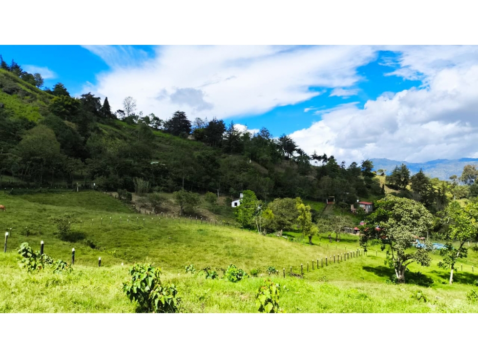 VENDO LOTES PROYECTO CAMPESTRE GUATEQUE - BOYACA - 3
