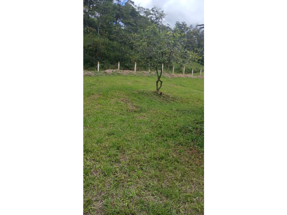 VENDE HERMOSO LOTE CAMPESTRE RURAL - MONIQUIRA - 3