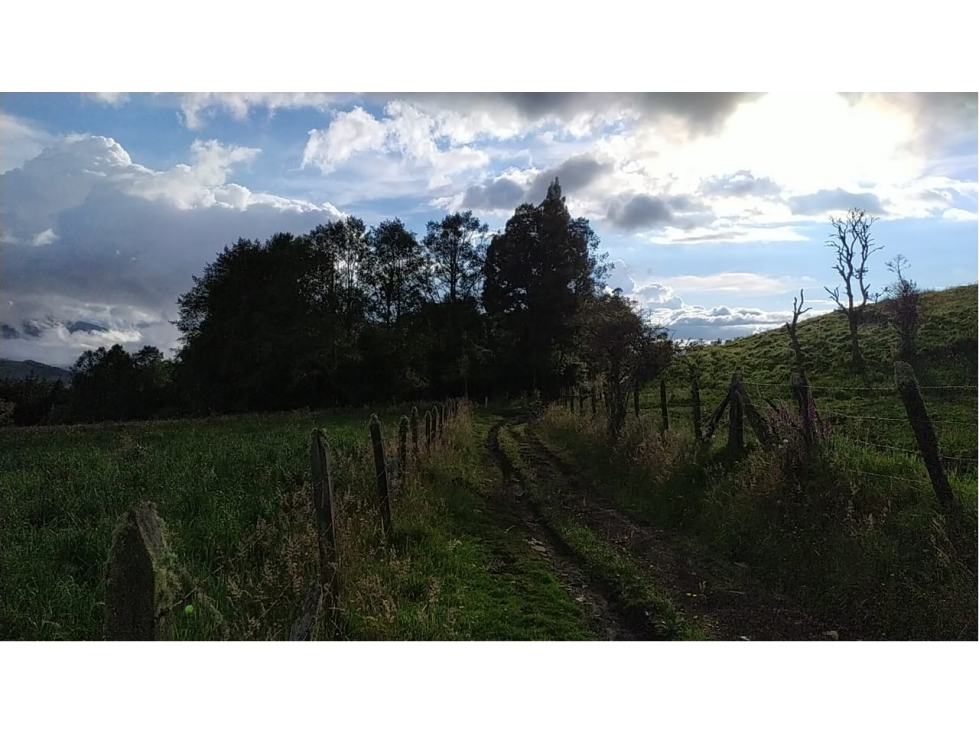 VENDO LOTE DE 19.200 METROS VEREDA SANTA HELENA EN LA CALERA - 3