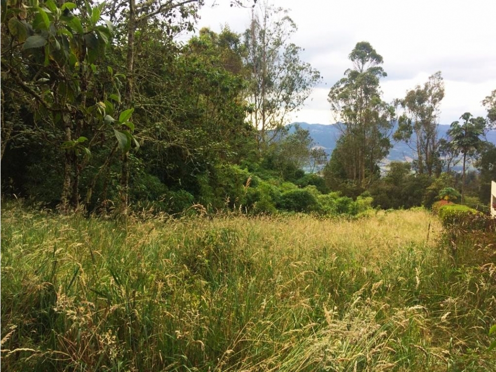 VENDO LOTE ALTOS DE POTOSI - GUASCA - OPORTUNIDAD - 3