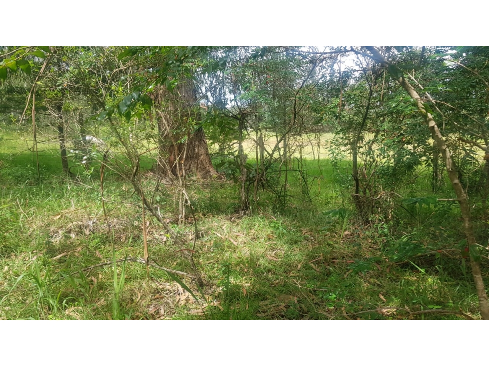 VENDO LOTE PLANO - ALTO DEL ESPINO - VILLA DE LEYVA - 4