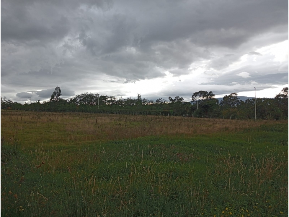 VENDO LOTE PLANO VEREDA SABANA DE 19.490 METROS - URGEME - 1