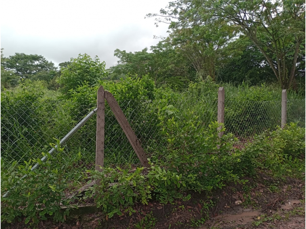 VENDO LOTE PLANO DE 4.000 METROS EN CONJUNTO SAN ANTONIO DE APULO - 6