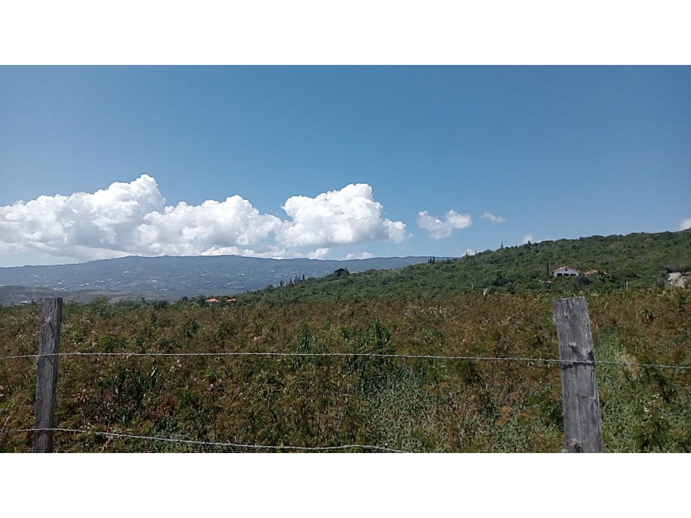 VENDO LOTE PLANO - CONJUNTO - VEREDA MONQUIRÁ - VILLA DE LEYVA - 2