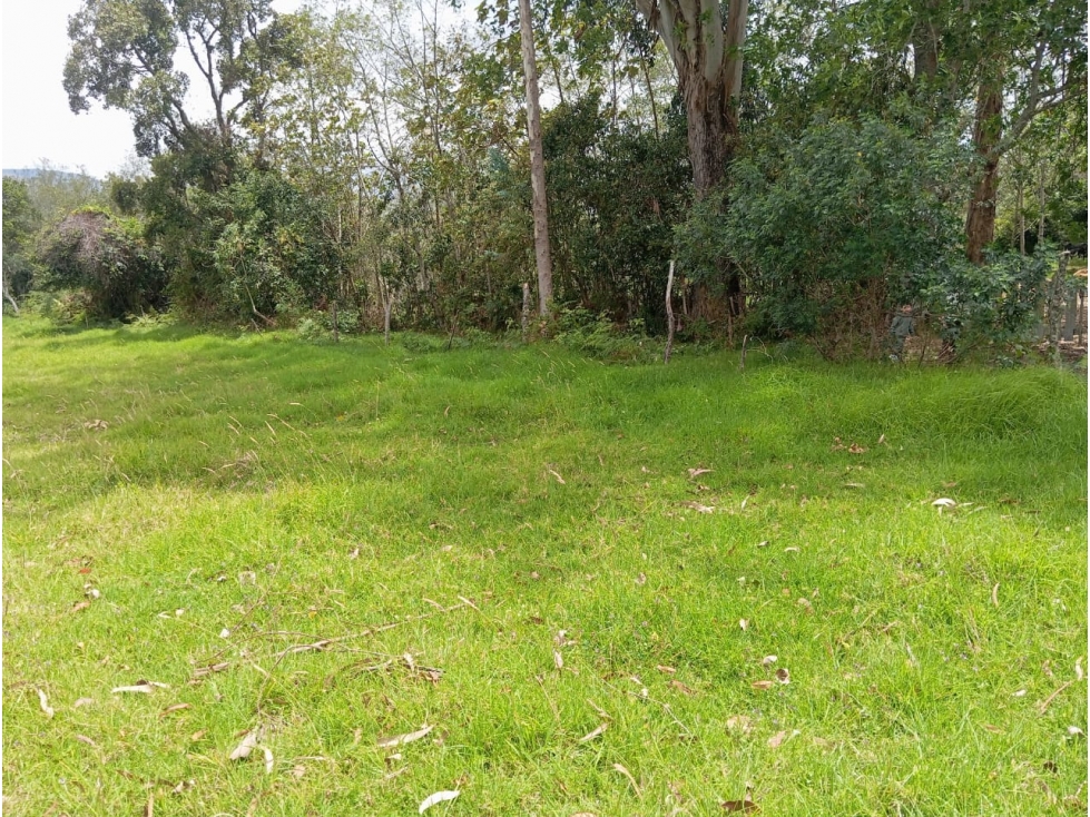VENDO LOTE PLANO VEREDA CARDONAL - VILLA DE LEYVA - OPORTUNIDAD - 4