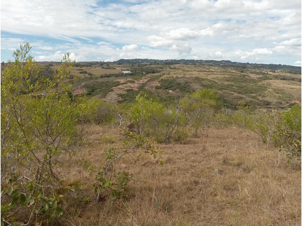 VENDO LOTE DE 18.000 METROS - SALTO Y LAVANDERA - VILLA DE LEYVA - 5