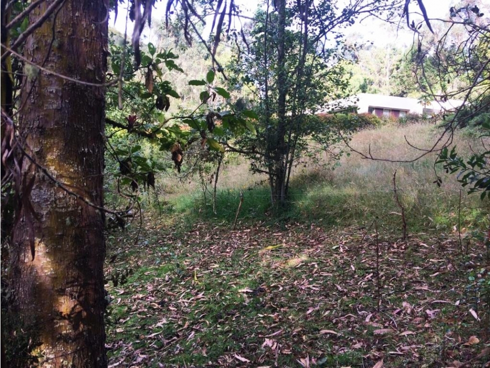 VENDO LOTE ALTOS DE POTOSI - GUASCA - OPORTUNIDAD - 4