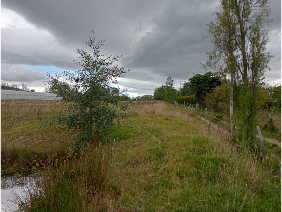 VENDO LOTE PLANO VEREDA SABANA DE 19.490 METROS - URGEME - 5