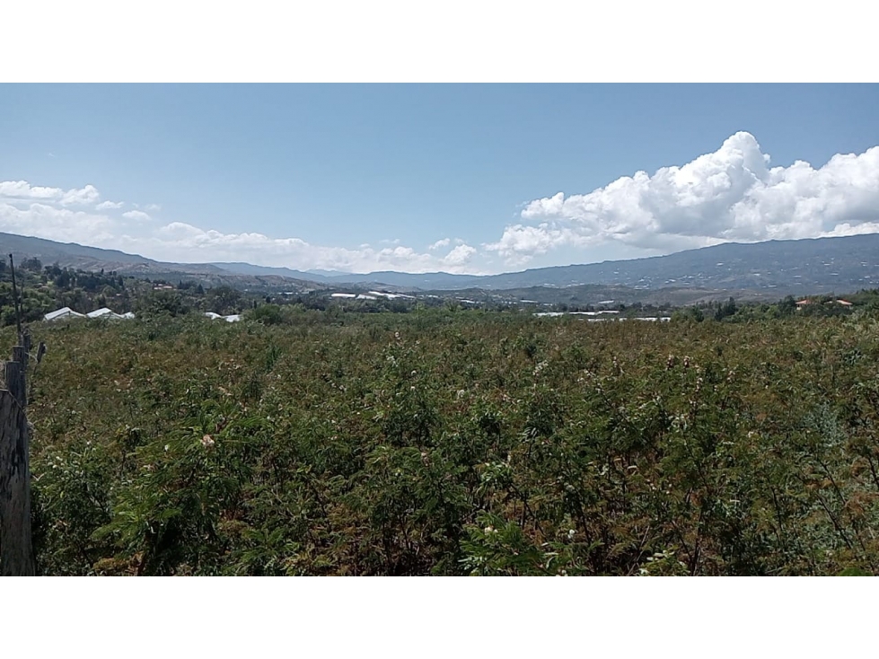 VENDO LOTE PLANO - CONJUNTO - VEREDA MONQUIRÁ - VILLA DE LEYVA - 3