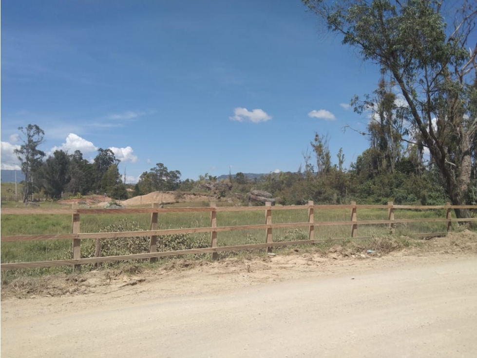 VENDO LOTE DE 11.000 METROS PLANOS - VEREDA EL ROBLE - VILLA DE LEYVA - 5