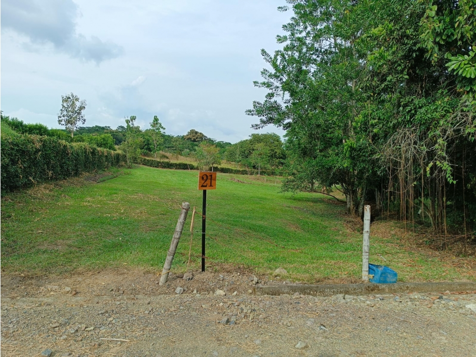 VENDO LOTE # 21 PLANO DENTRO DE CONJUNTO - VITERBO - CALDAS - URGEME - 5