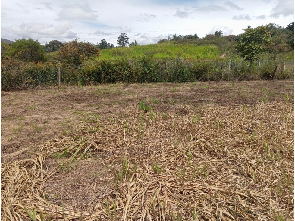 VENDO LOTE PLANO CON LICENCIA - MONQUIRÁ - VILLA DE LEYVA - 6