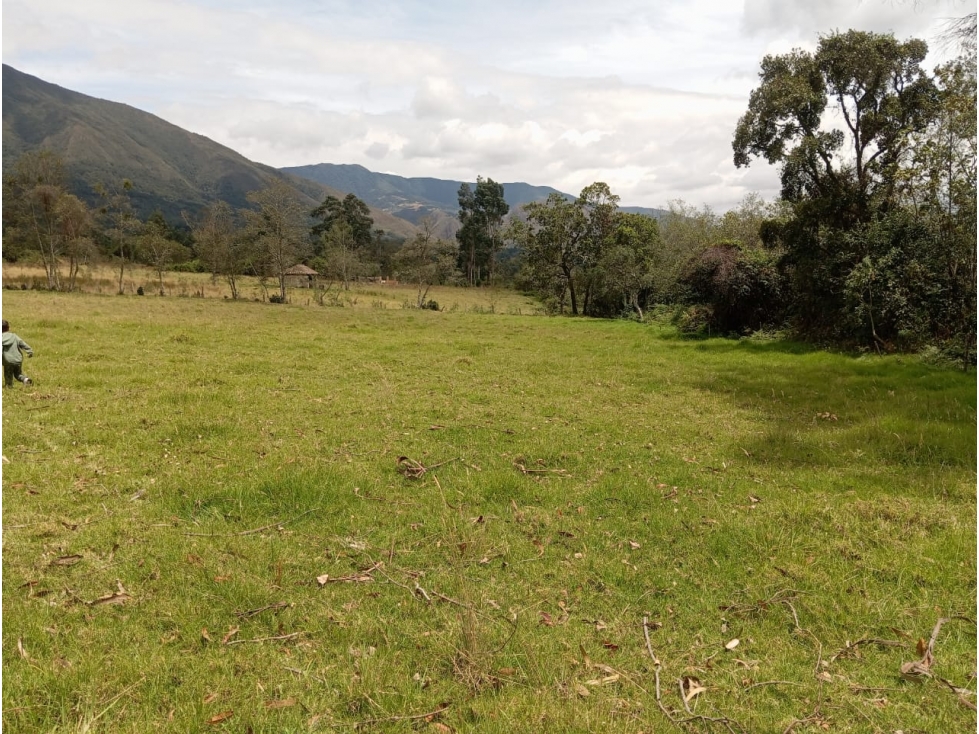 VENDO LOTE PLANO VEREDA CARDONAL - VILLA DE LEYVA - OPORTUNIDAD - 5
