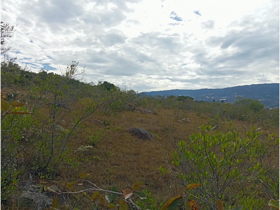 VENDO LOTE DE 18.000 METROS - SALTO Y LAVANDERA - VILLA DE LEYVA - 6