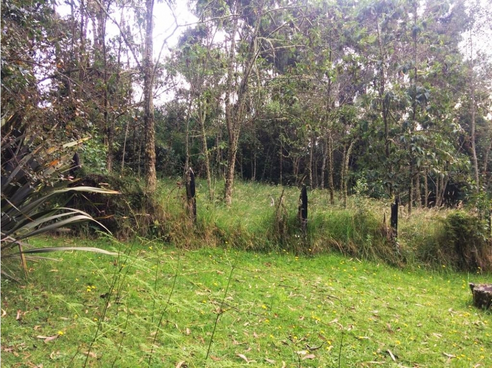 VENDO LOTE ALTOS DE POTOSI - GUASCA - OPORTUNIDAD - 5