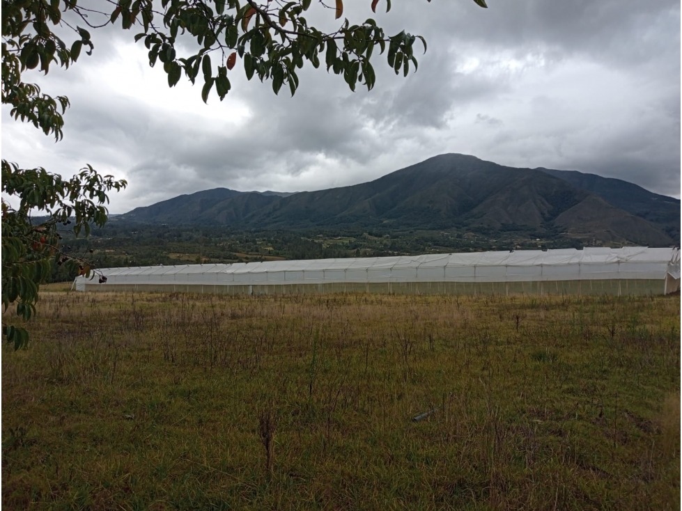 VENDO LOTE PLANO VEREDA SABANA DE 19.490 METROS - URGEME - 6