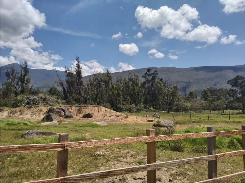 VENDO LOTE DE 11.000 METROS PLANOS - VEREDA EL ROBLE - VILLA DE LEYVA - 6