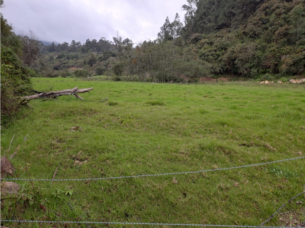 VENDO LOTE DE 37.107 METROS VEREDA SABANA - VILLA DE LEYVA - 2
