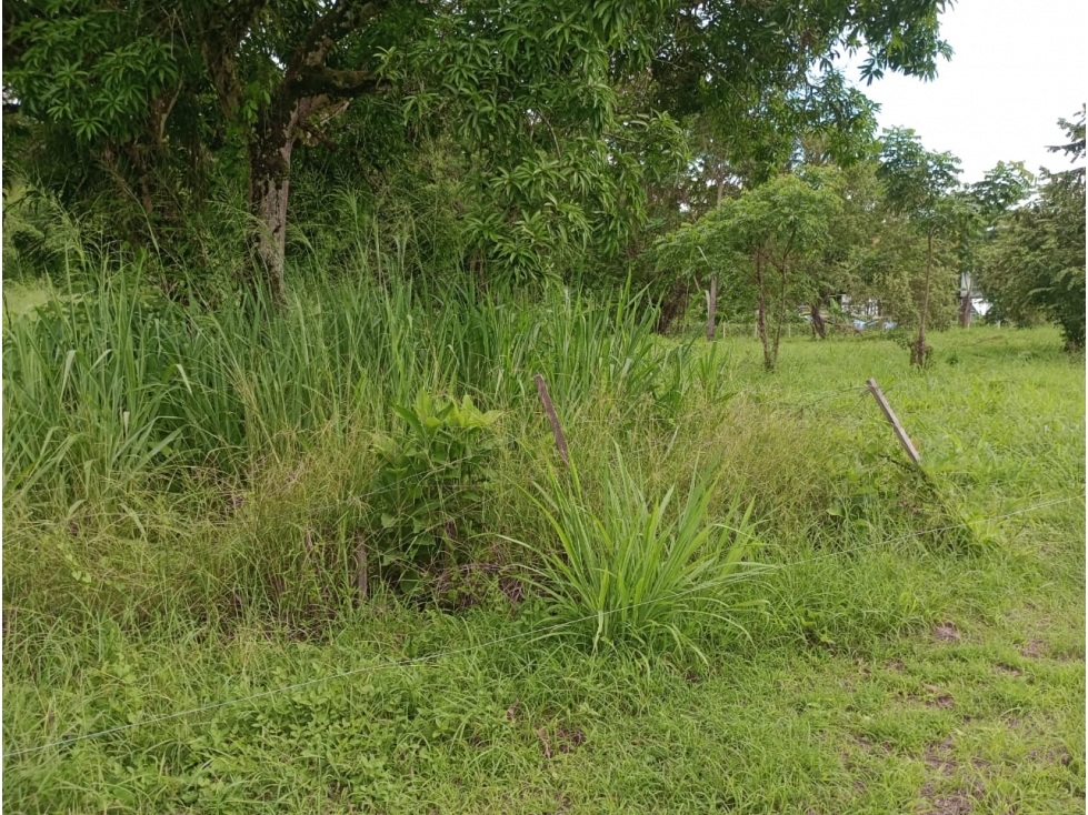 VENDO LOTE PLANO DE 4.000 METROS EN CONJUNTO SAN ANTONIO DE APULO - 3