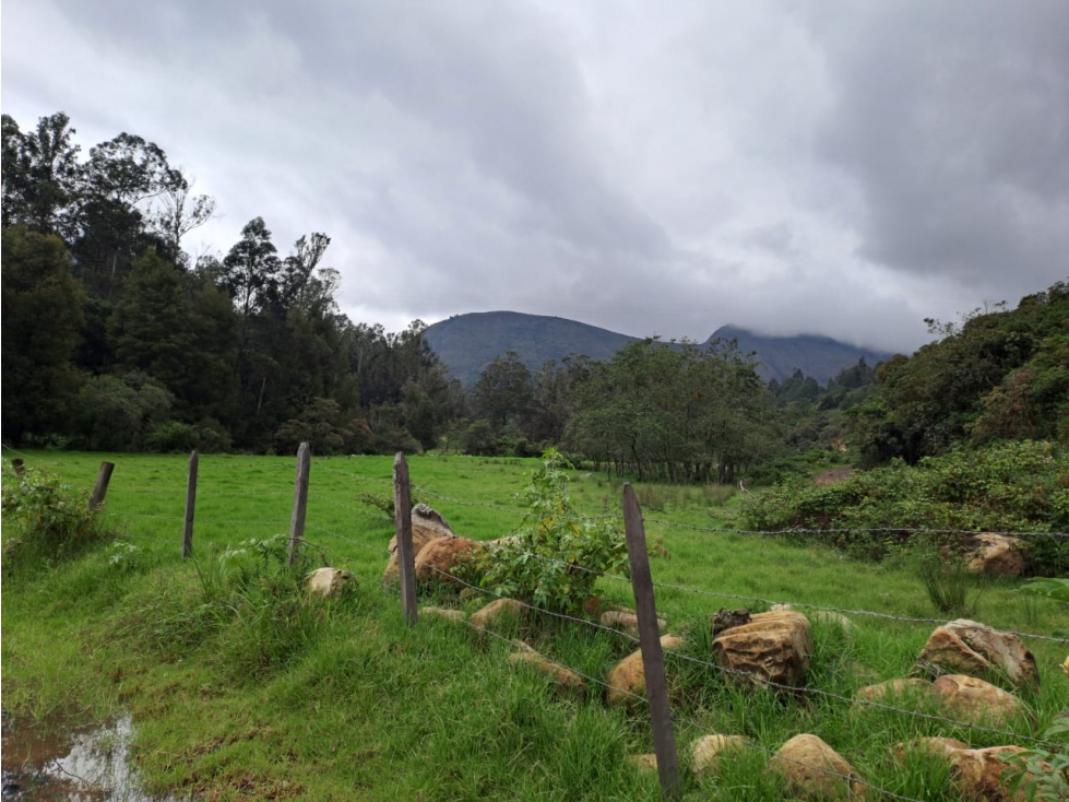 VENDO LOTE DE 37.107 METROS VEREDA SABANA - VILLA DE LEYVA - 1