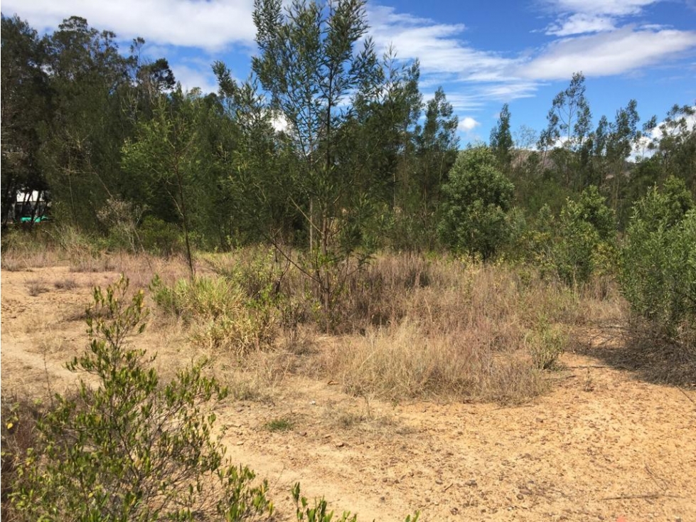 VENDO LOTE PLANO - POZOS AZULES- VILLA DE LEYVA - 1
