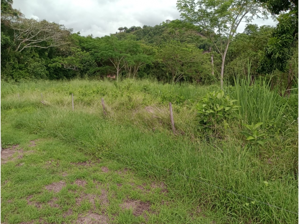 VENDO LOTE PLANO DE 4.000 METROS EN CONJUNTO SAN ANTONIO DE APULO - 4