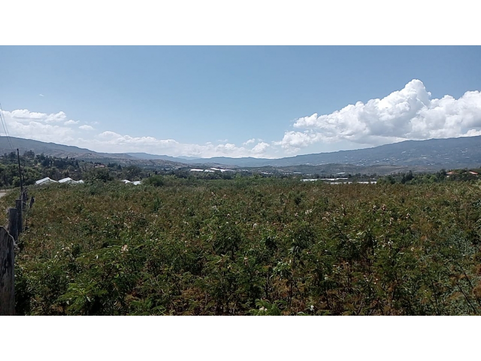 VENDO LOTE PLANO - CONJUNTO - VEREDA MONQUIRÁ - VILLA DE LEYVA - 5