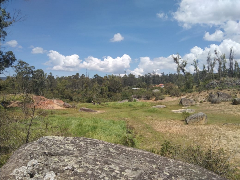 VENDO LOTE DE 11.000 METROS PLANOS - VEREDA EL ROBLE - VILLA DE LEYVA - 3