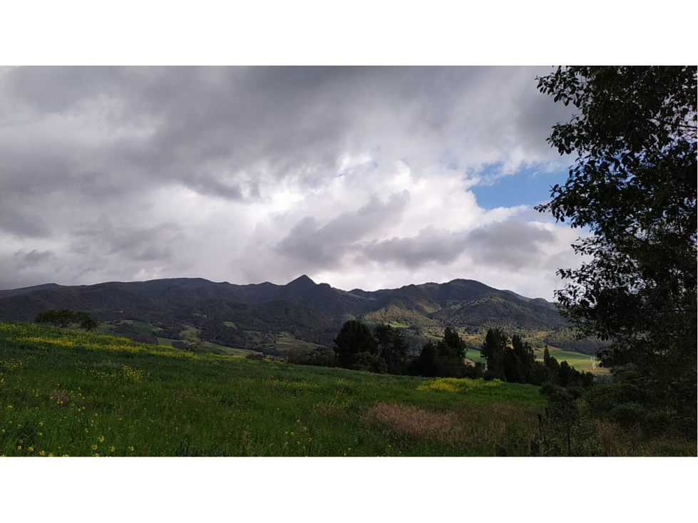 VENDO LOTE DE 19.200 METROS VEREDA SANTA HELENA EN LA CALERA - 1