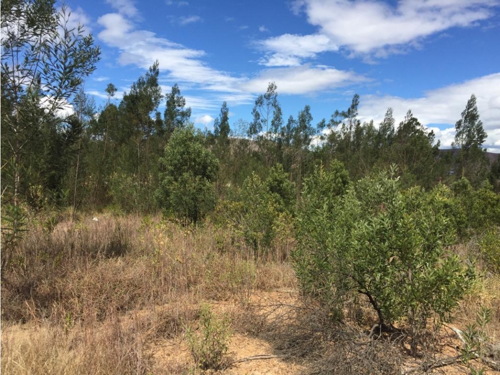 VENDO LOTE PLANO - POZOS AZULES- VILLA DE LEYVA - 6