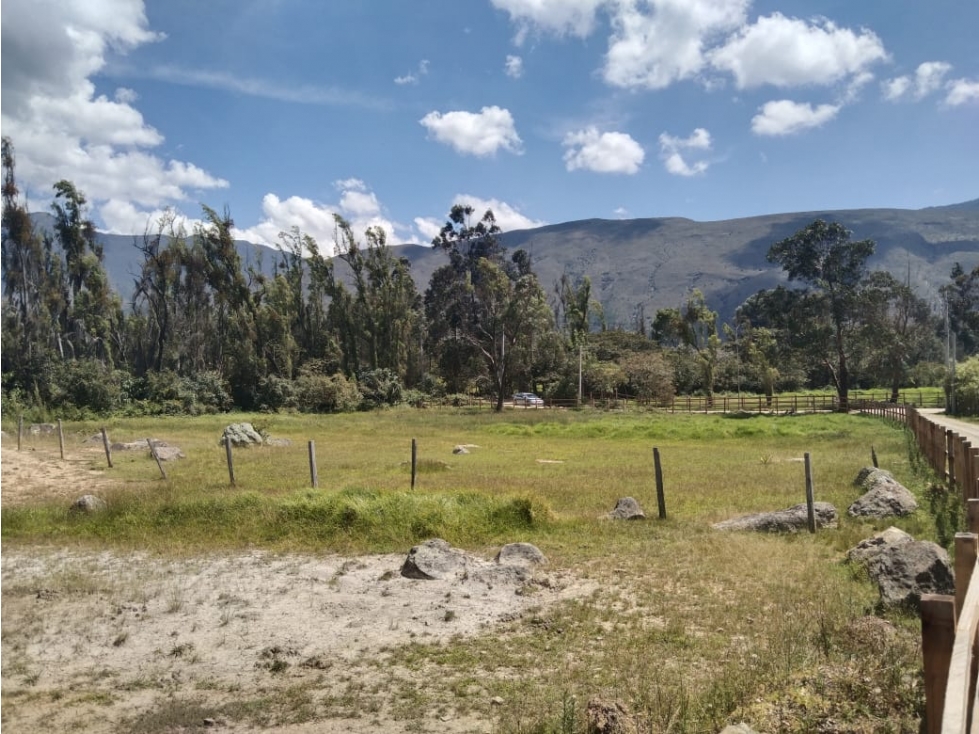 VENDO LOTE DE 11.000 METROS PLANOS - VEREDA EL ROBLE - VILLA DE LEYVA - 1